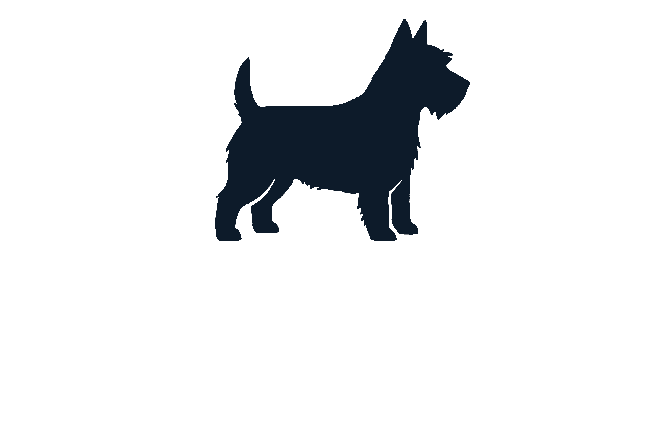 Liten hund